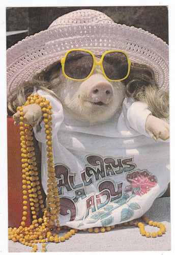 Always A Lady Pig In Sunglasses Humor Postcard George Dudley 1981 - TulipStuff