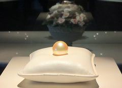 Large Golden Akoya Pearl