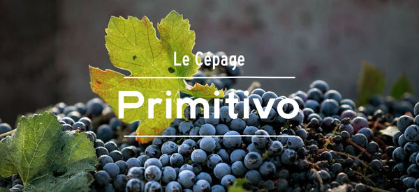 primitive red wine