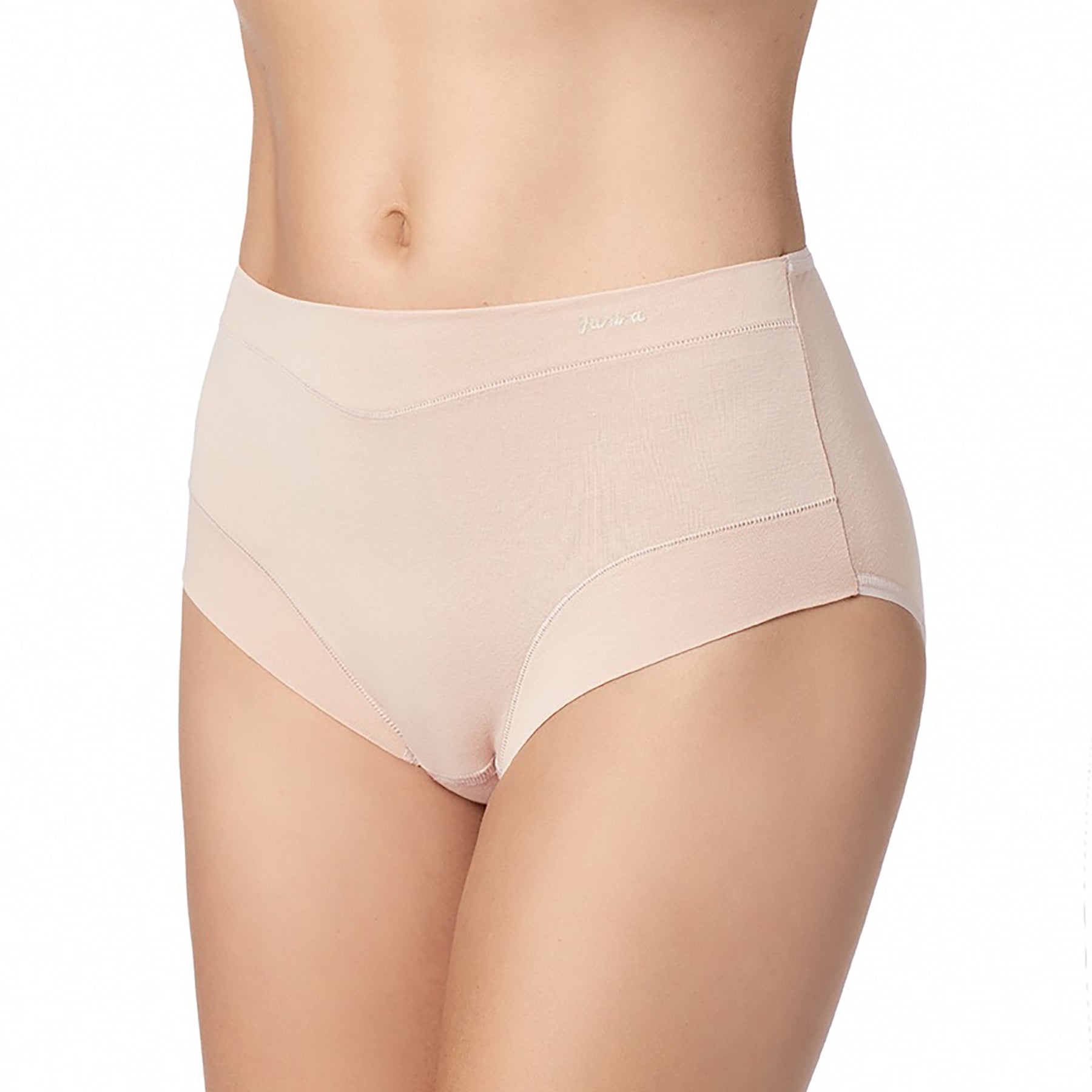 Carole Hochman Ladies Seamless Brief Underwear Malaysia