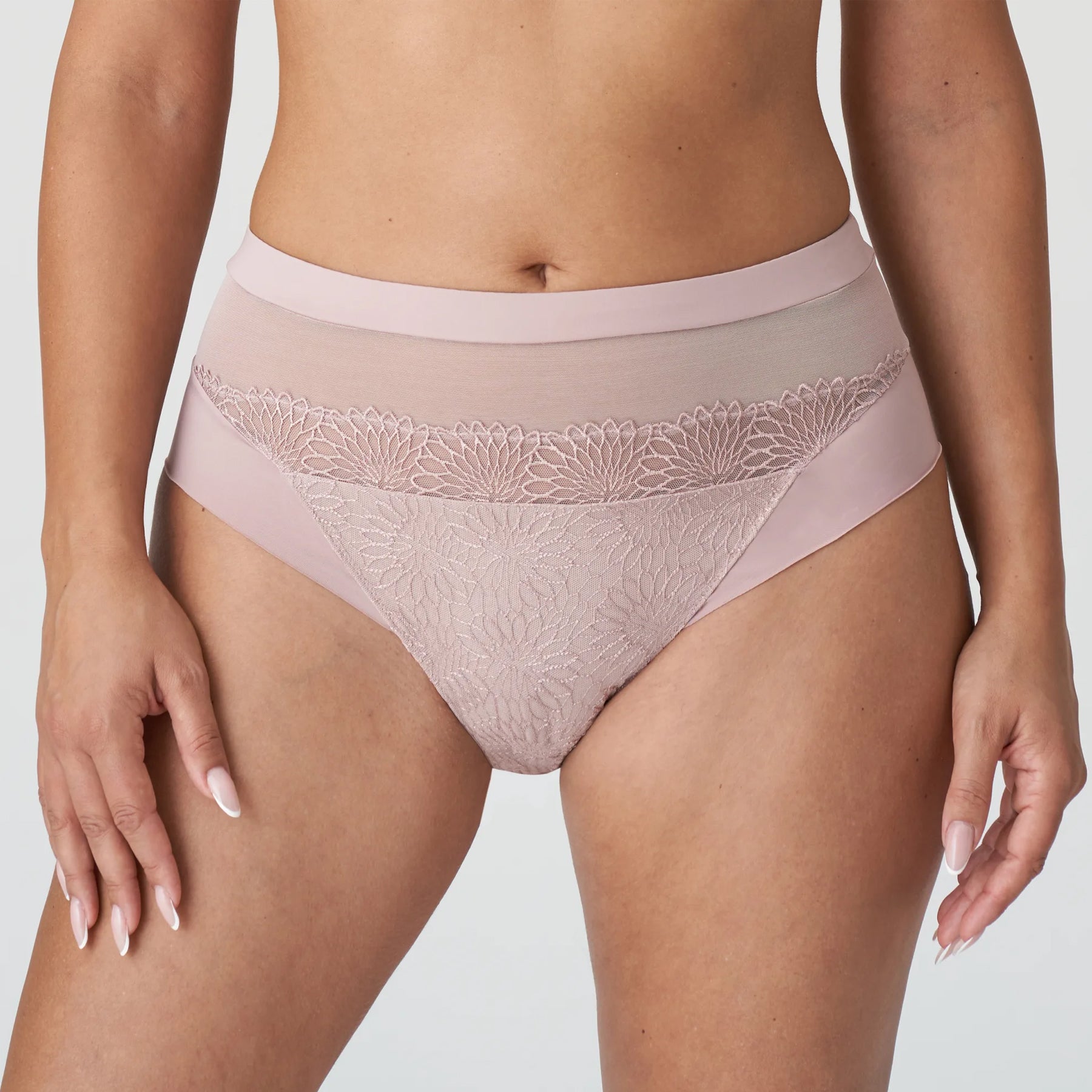 PrimaDonna Sophora Full Brief