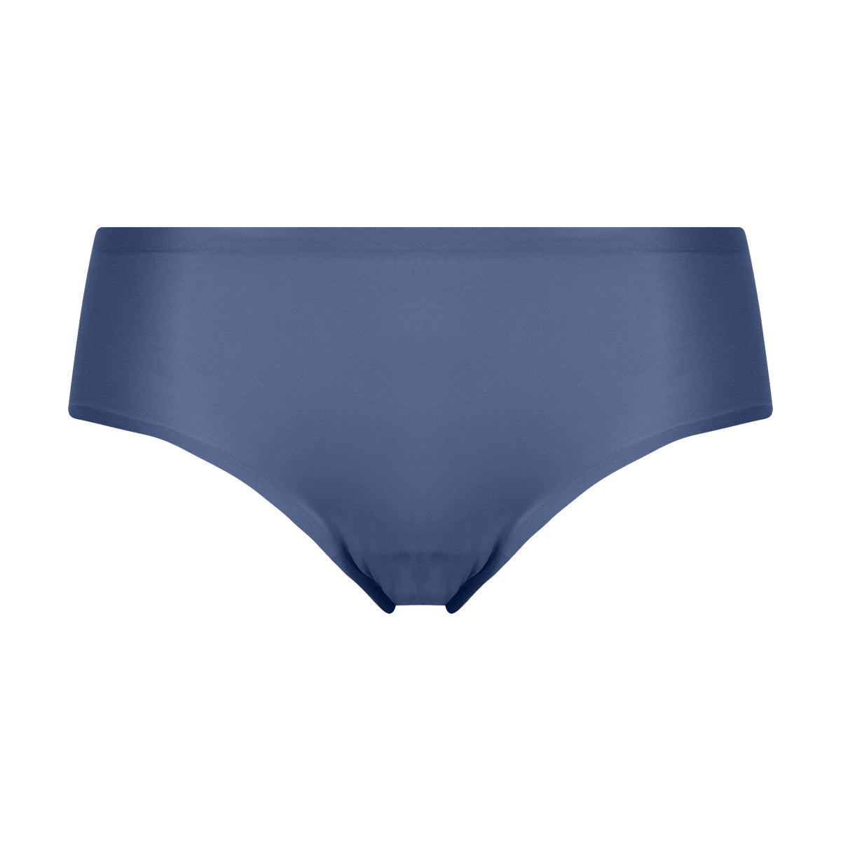 Chantelle Panties Thong Underwear Greyish Blue Lace Sz Large NWOT