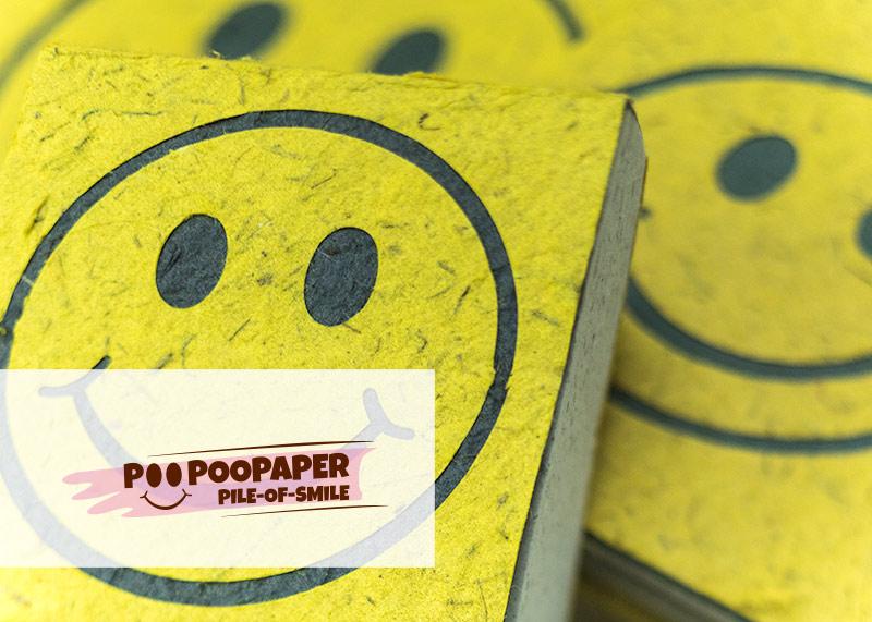 Eco-Friendly, Tree-free, Chemical free, sustainable Elephant POOPOOPAPER - Pile of Smile