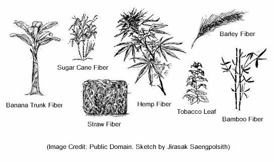 Alternative fiber pulp sources