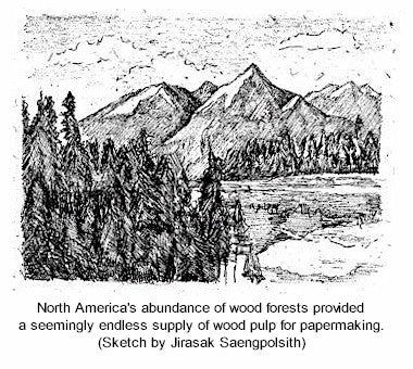North American trees - a seemingly endless supply