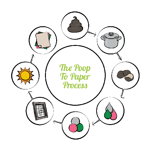 The POOPOOPAPER Poop to Paper Process