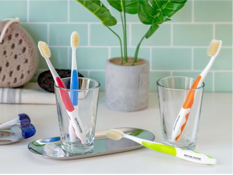 picture of doctor plotka's toothbrushes in all color variation