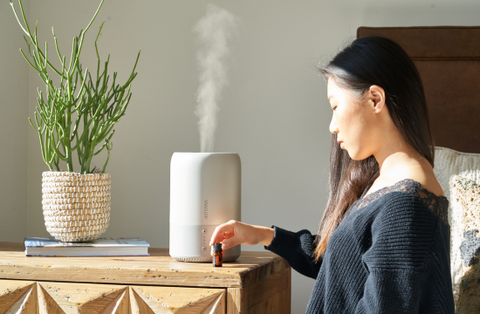 Asian woman with a humidifier