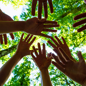 group of people with hands outstretched