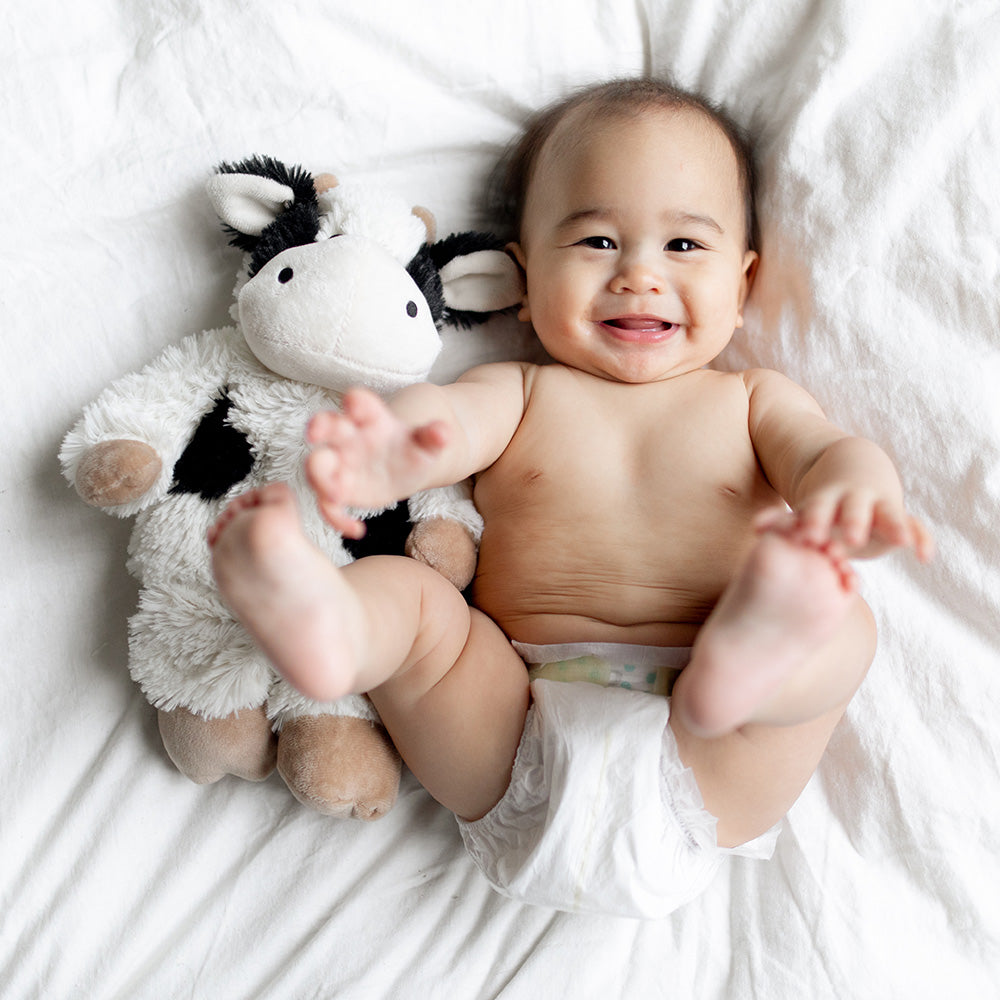 black and white cow warmies