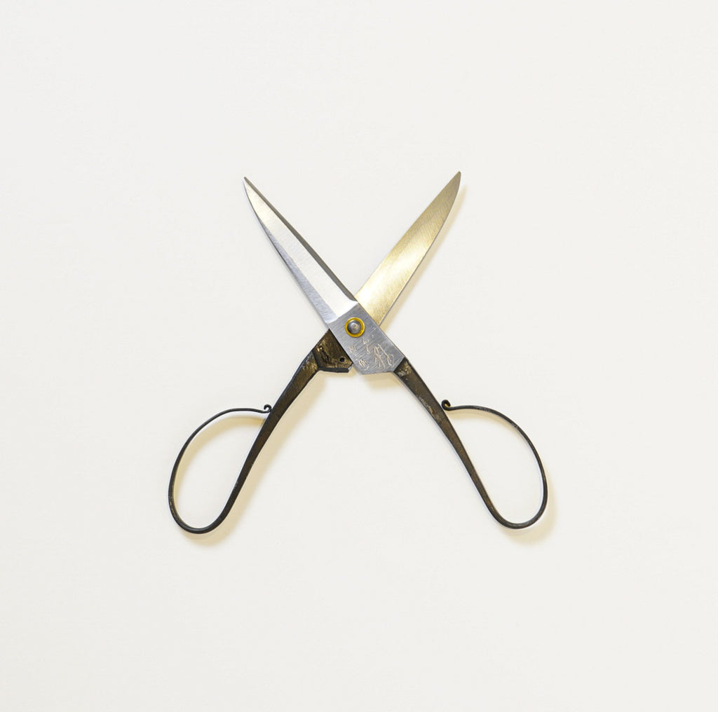 Tanebasami scissors by Ikenami Hamono