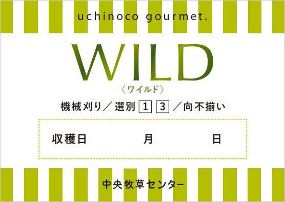 グレードプレート WILD