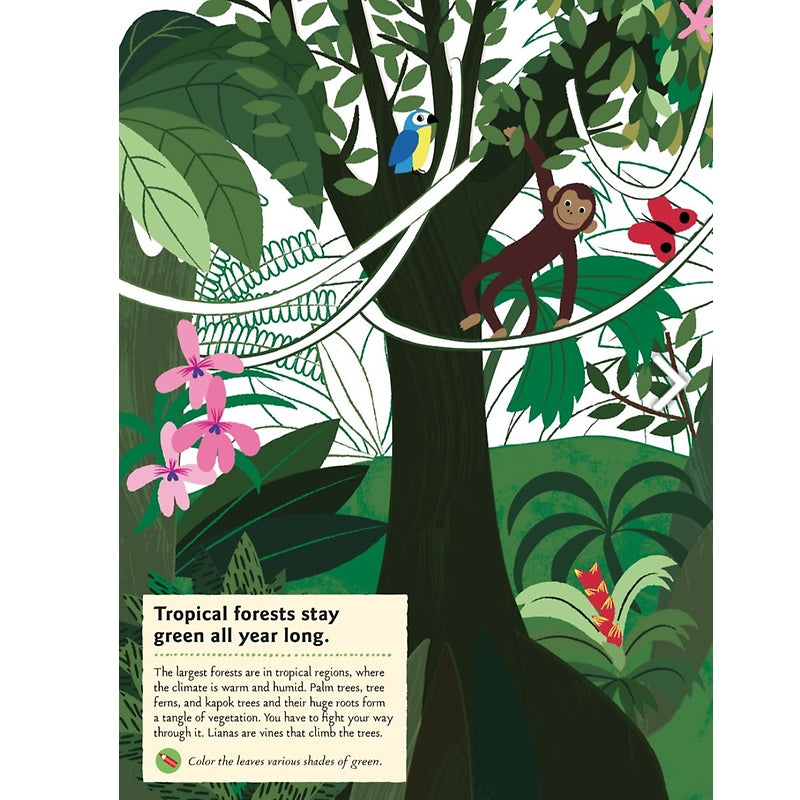 Birds of the World: My Nature Sticker Activity Book — Science Activity -  Pretty Things & Cool Stuff