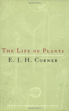 The Life Of Plants E J H Corner Pretty Things Cool Stuff