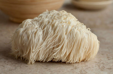 lion's mane mushroom