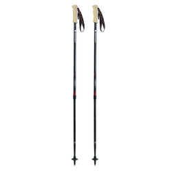 mountainsmith trekking pole