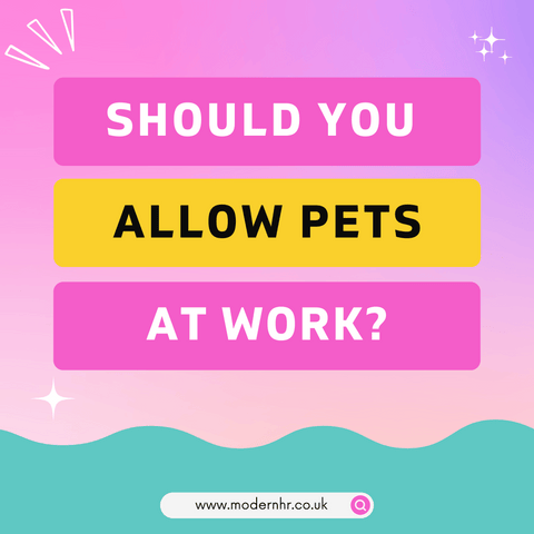Should you allow pets at work? For UK small businesses