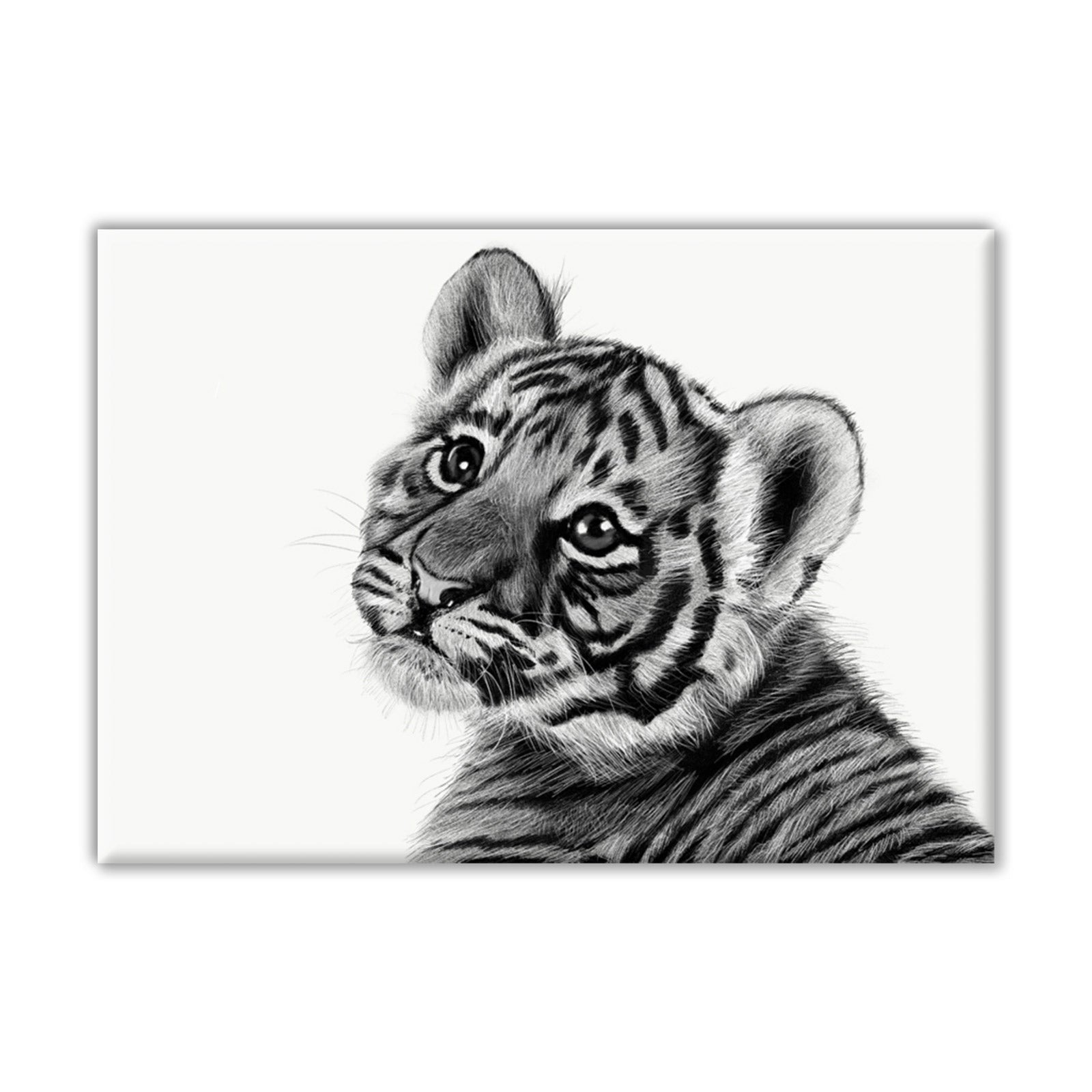 Outline art for cute baby tigers, white ...