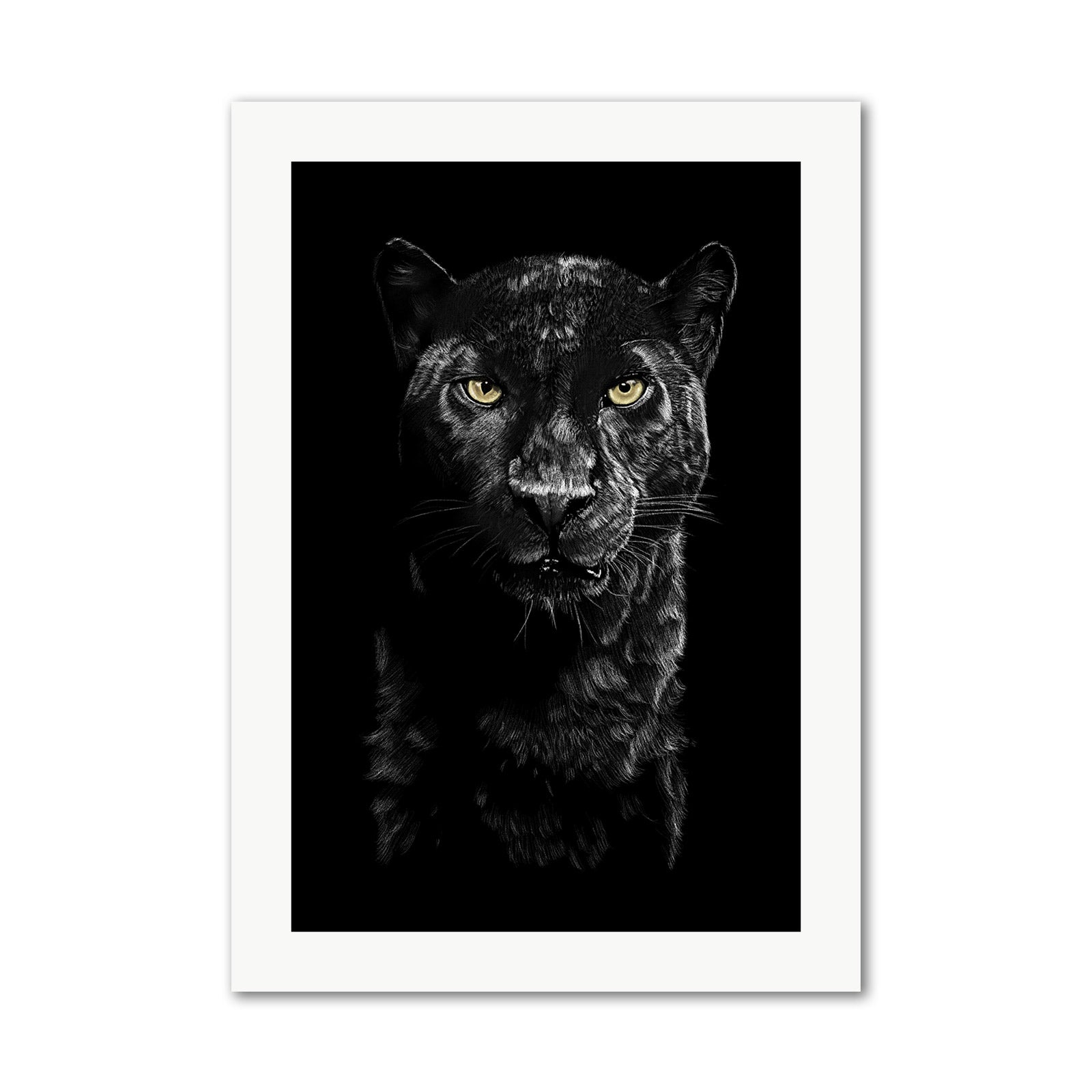 Panther Wall Art Print Hand Drawn By Sheetal Toor For Kids Room Nursery Baby Room And Bedroom Art By Toor