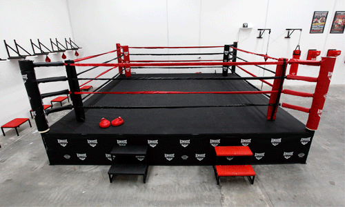 Team Tef Boxing| Authentic Boxing Gym| Frisco, Tx |