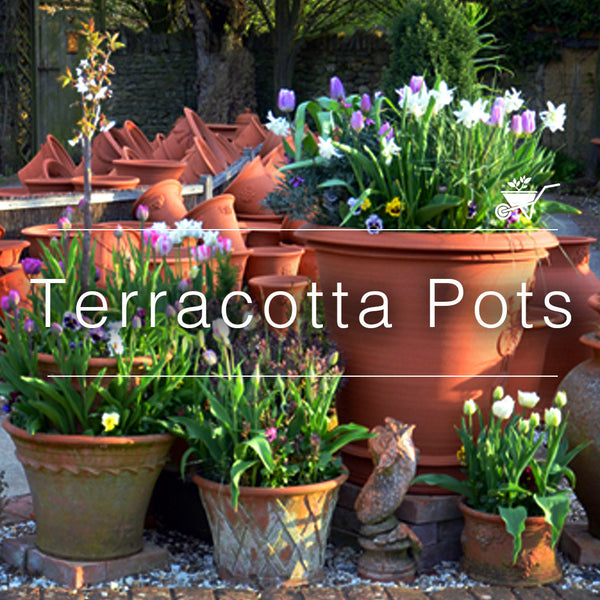 terracotta bowls garden