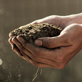 Quality of soil