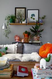 Home decor plants