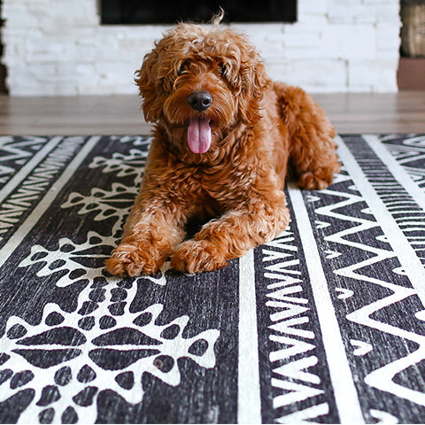 Best Area Rugs and Runners for Dogs | Ruggable