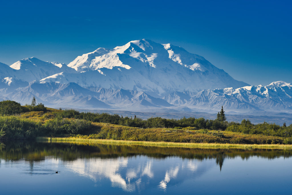 Denali National Park