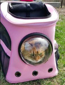 your cat backpack