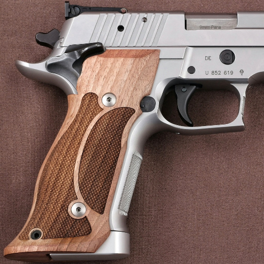 Sig Sauer P226 Sao Custom Pistol Grips Integrated Magwelled