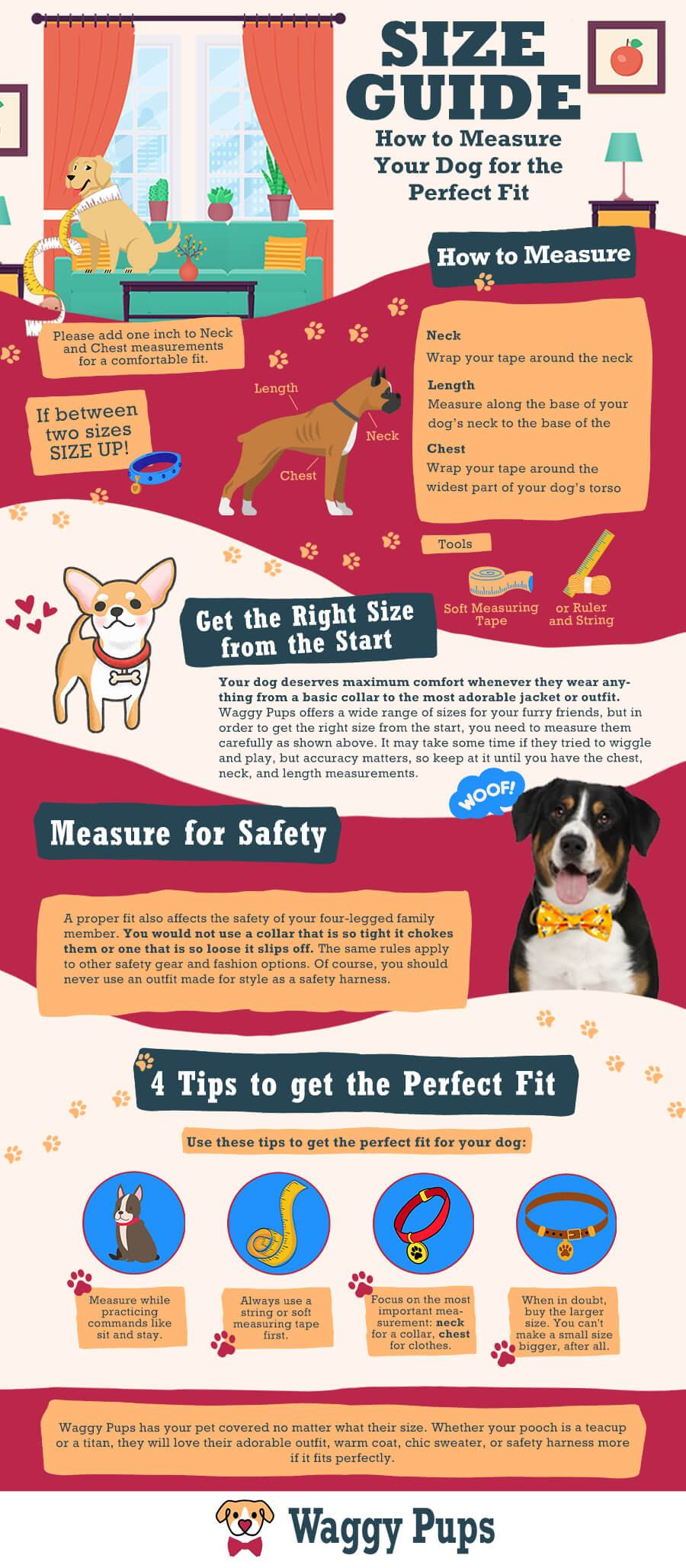Size guide how to measure your dog for the perfect fit