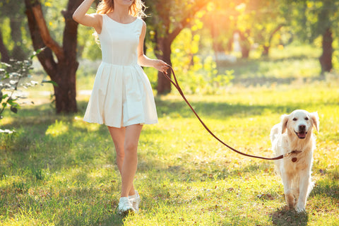 Woman walking dog properly.