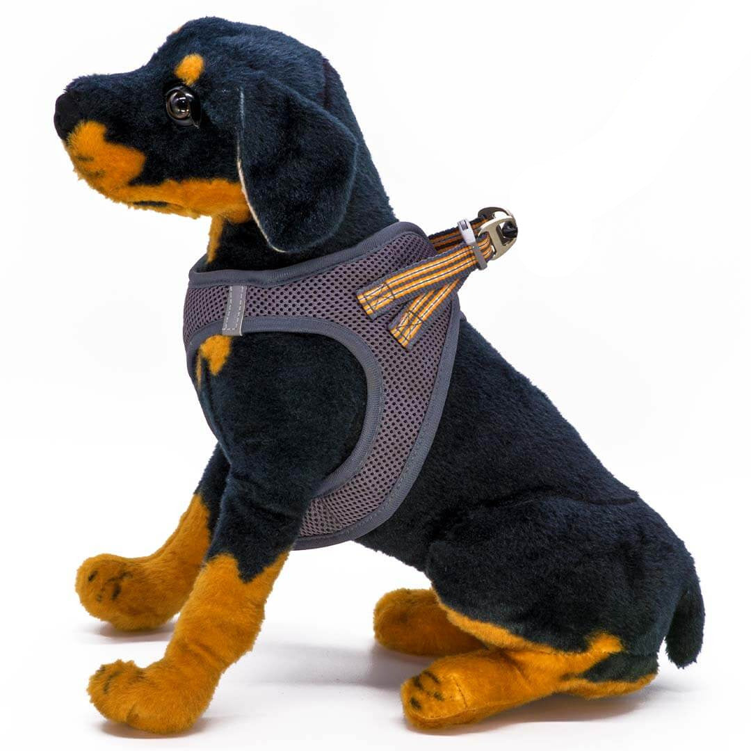 Dogonet Gray Dog Harness