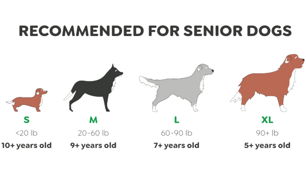 Size chart for senior dogs