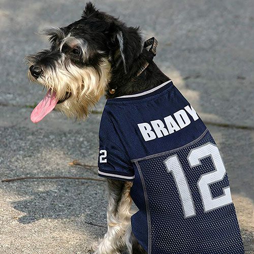 Patriots Tom Brady Pet Jersey - Boston 