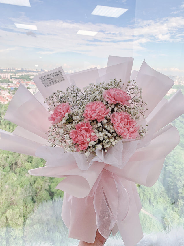 Dreamy Carnations
