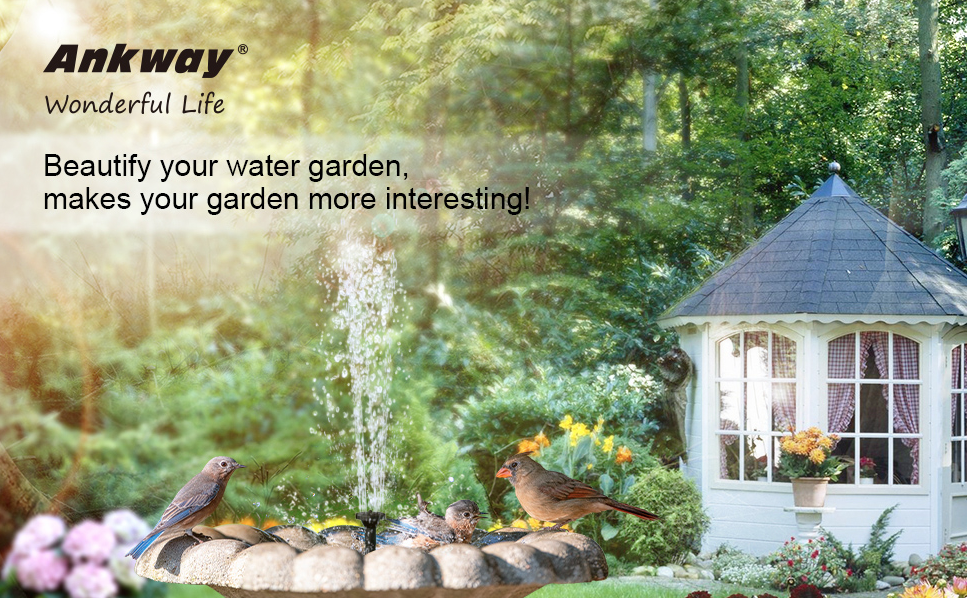 Beautify your water garden, makes your garden more interesting!