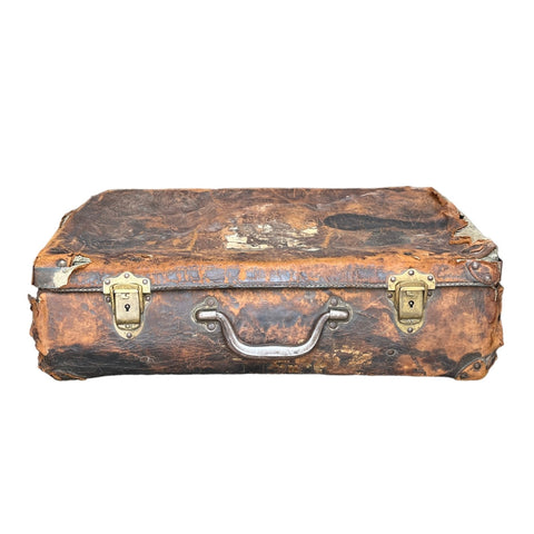 Brown Vintage Suitcase – Lady of the Lake