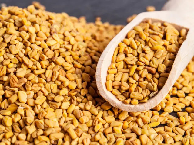 Fenugreek