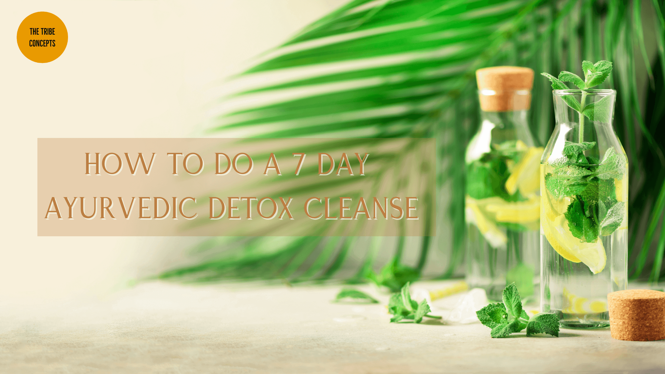 Ayurvedic detox cleanse thetribeconcepts