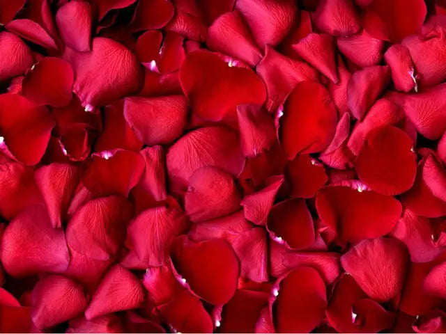 Rose Petals