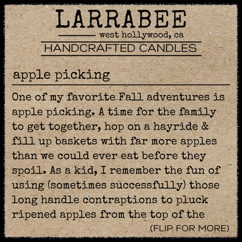 front of the story card for apple pie moonshine