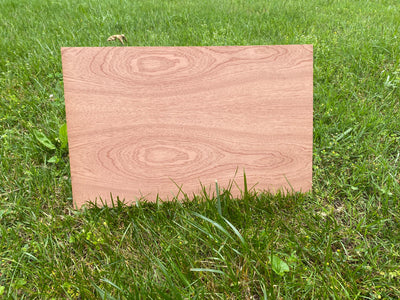 Whitmor Aromatic Cedar Blocks, 8 pk - Fred Meyer