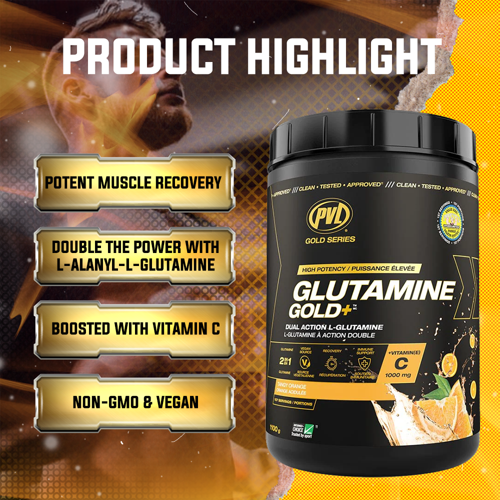 PVL Gold Series, Glutamine Gold+, Amino Acid, Improve Digestion & Supports Immune System, 1100 g (239 Servings)