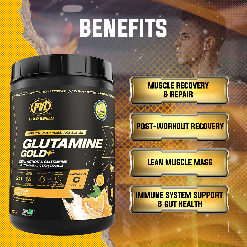 PVL Gold Series, Glutamine Gold+, Amino Acid, Improve Digestion & Supports Immune System, 1100 g (239 Servings)