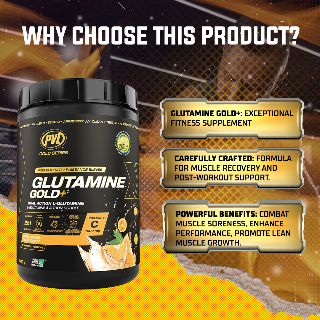 PVL Gold Series, Glutamine Gold+, Amino Acid, Improve Digestion & Supports Immune System, 1100 g (239 Servings)