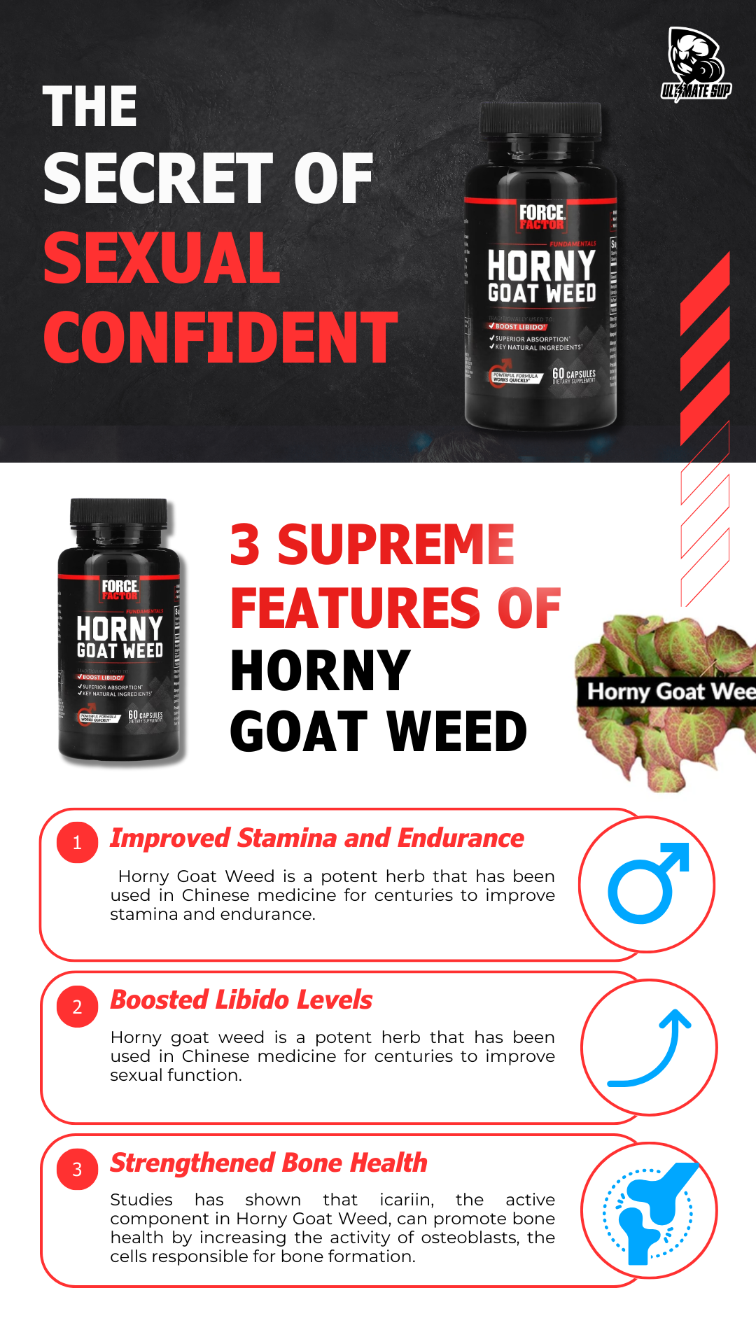 horny goat weed