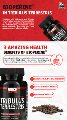 Force Factor, Tribulus - Benefit 3