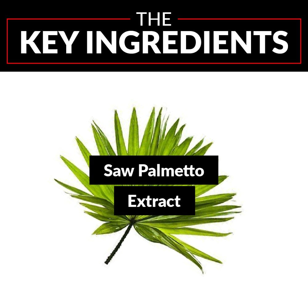 Force Factor Saw Palmetto Ingredients